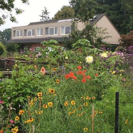 B&B Tuin der Zinnen Rijkevorsel Exterior foto