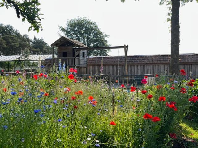 B&B Tuin der Zinnen Rijkevorsel Exterior foto