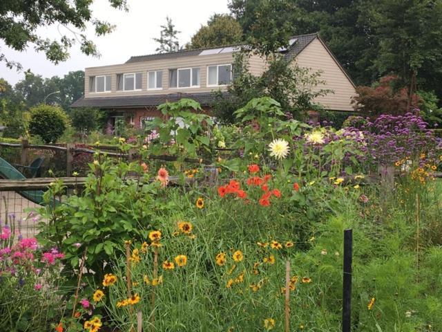 B&B Tuin der Zinnen Rijkevorsel Exterior foto