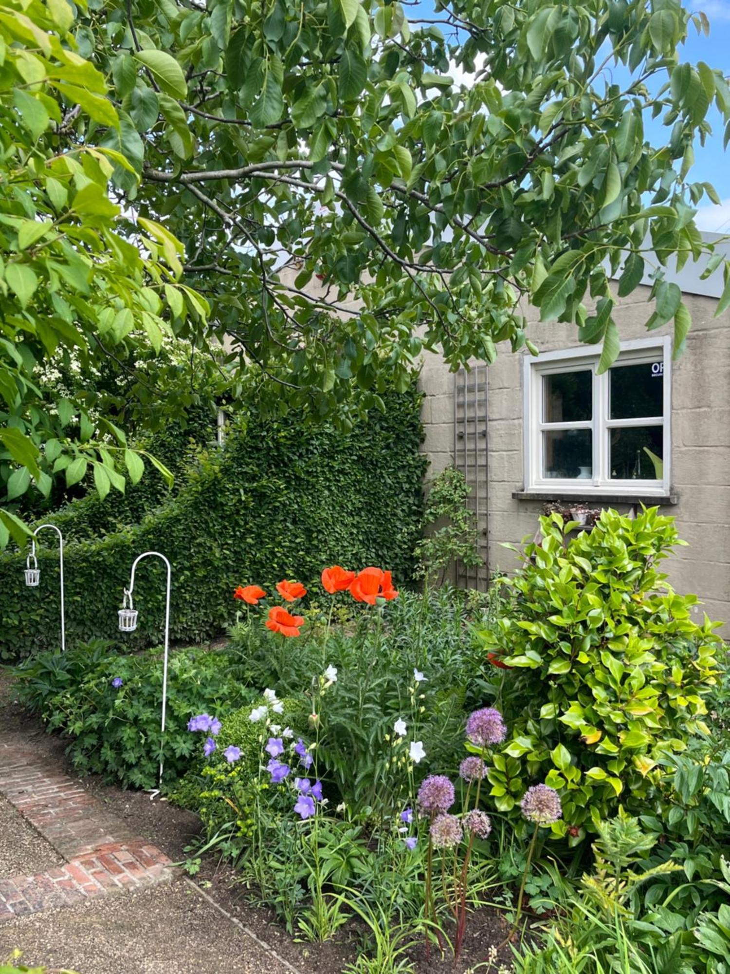 B&B Tuin der Zinnen Rijkevorsel Exterior foto