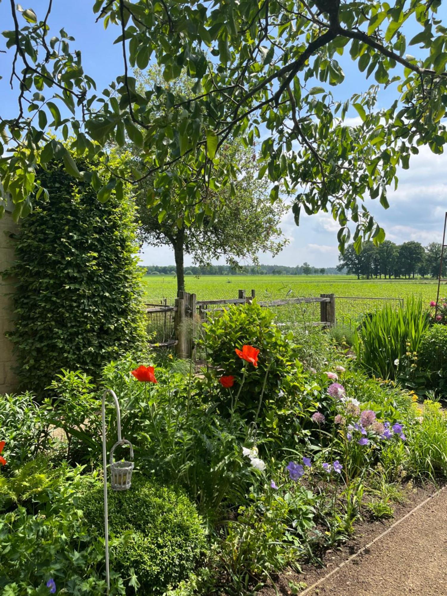 B&B Tuin der Zinnen Rijkevorsel Exterior foto