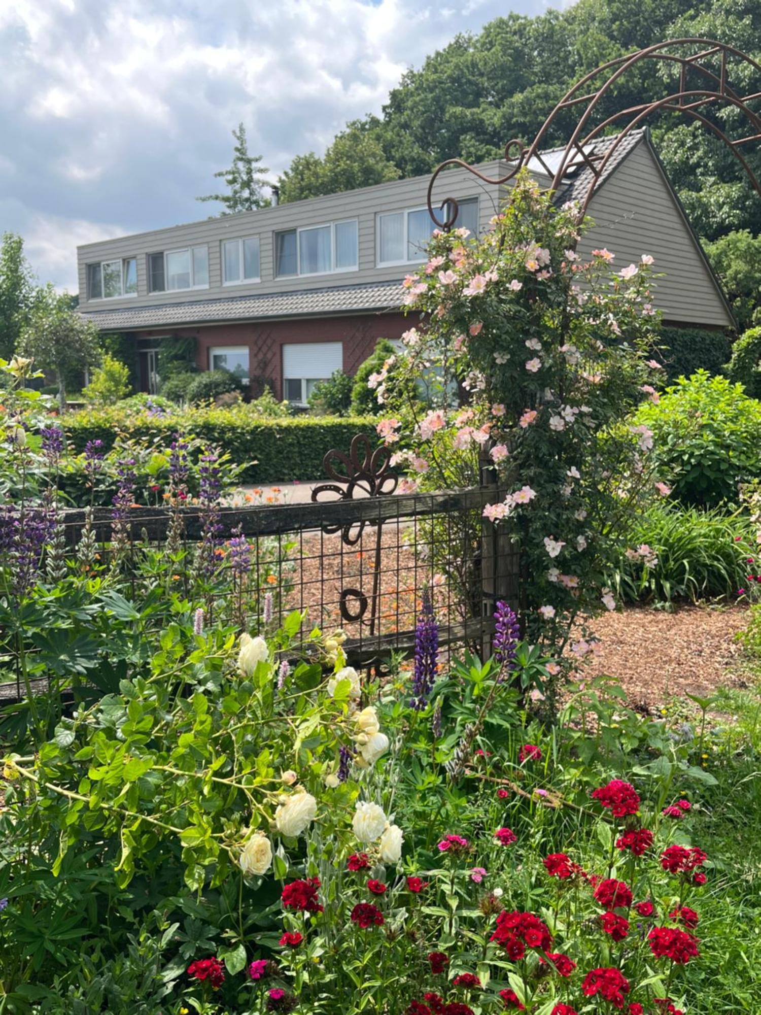 B&B Tuin der Zinnen Rijkevorsel Exterior foto